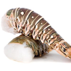 Frozen Lobster: Lobster Tails (WILD) 2 x 7oz title=